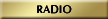 button_radio.png