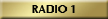 button_radio_1.jpg