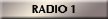 button_radio_1_x.jpg